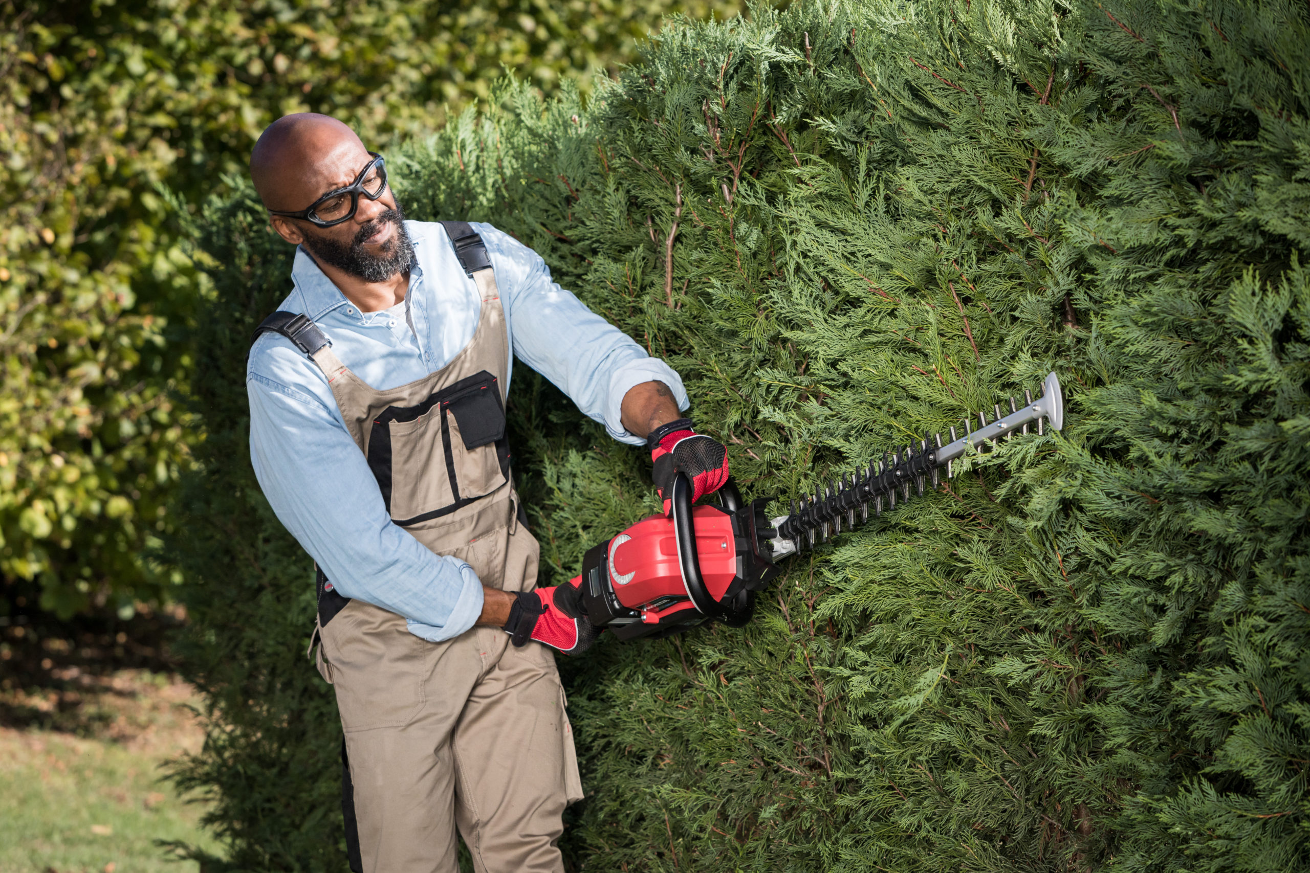 Honda Tools & Equipment T H WHITE Country Stores